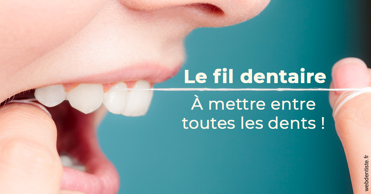 https://dr-lecarboulec-yann.chirurgiens-dentistes.fr/Le fil dentaire 2