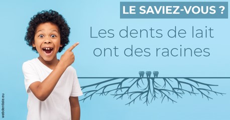 https://dr-lecarboulec-yann.chirurgiens-dentistes.fr/Les dents de lait 2