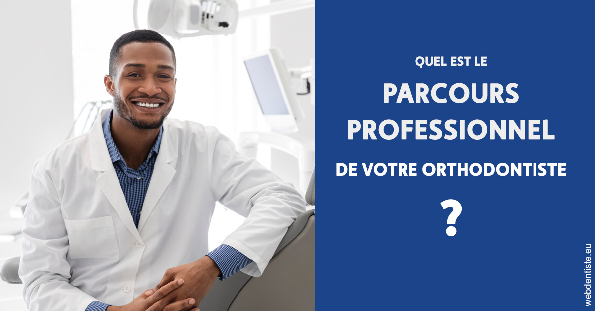 https://dr-lecarboulec-yann.chirurgiens-dentistes.fr/Parcours professionnel ortho 2
