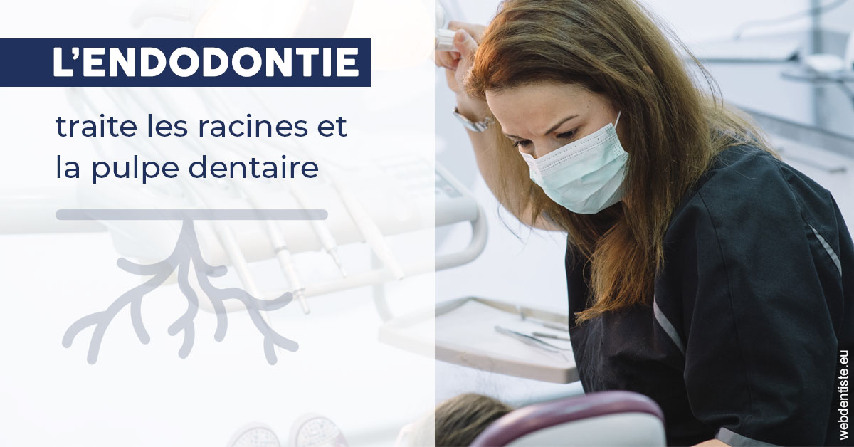 https://dr-lecarboulec-yann.chirurgiens-dentistes.fr/L'endodontie 1