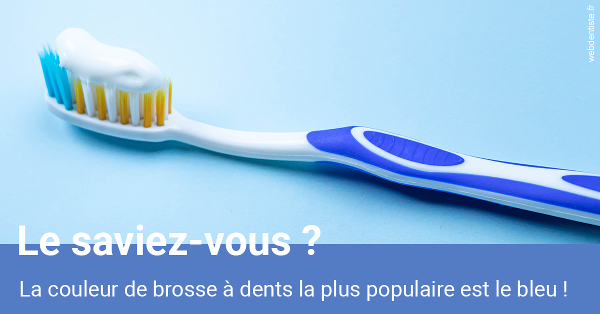 https://dr-lecarboulec-yann.chirurgiens-dentistes.fr/Couleur de brosse à dents