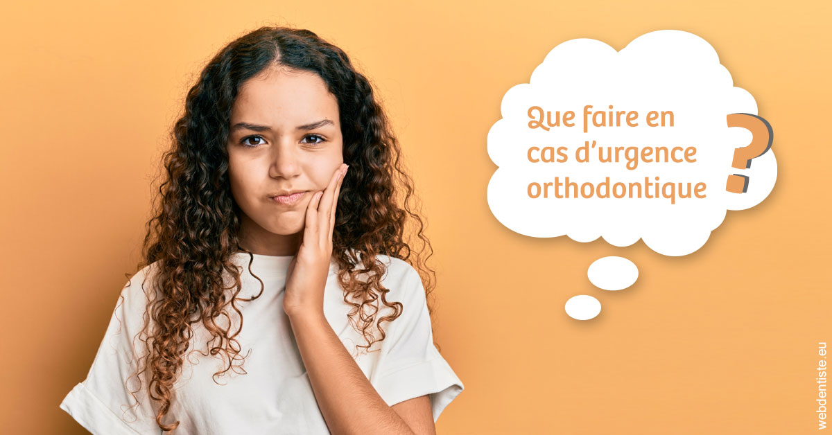 https://dr-lecarboulec-yann.chirurgiens-dentistes.fr/Urgence orthodontique 2