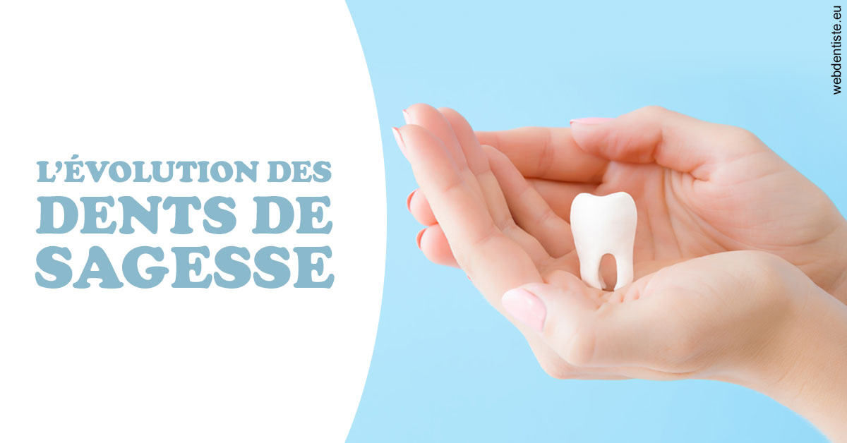https://dr-lecarboulec-yann.chirurgiens-dentistes.fr/Evolution dents de sagesse 1