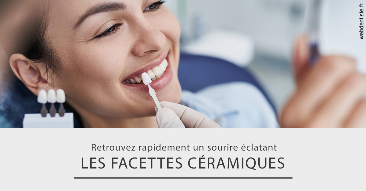 https://dr-lecarboulec-yann.chirurgiens-dentistes.fr/Les facettes céramiques 2