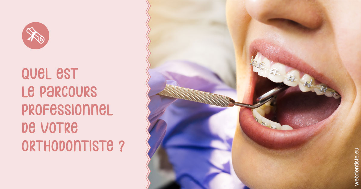 https://dr-lecarboulec-yann.chirurgiens-dentistes.fr/Parcours professionnel ortho 1