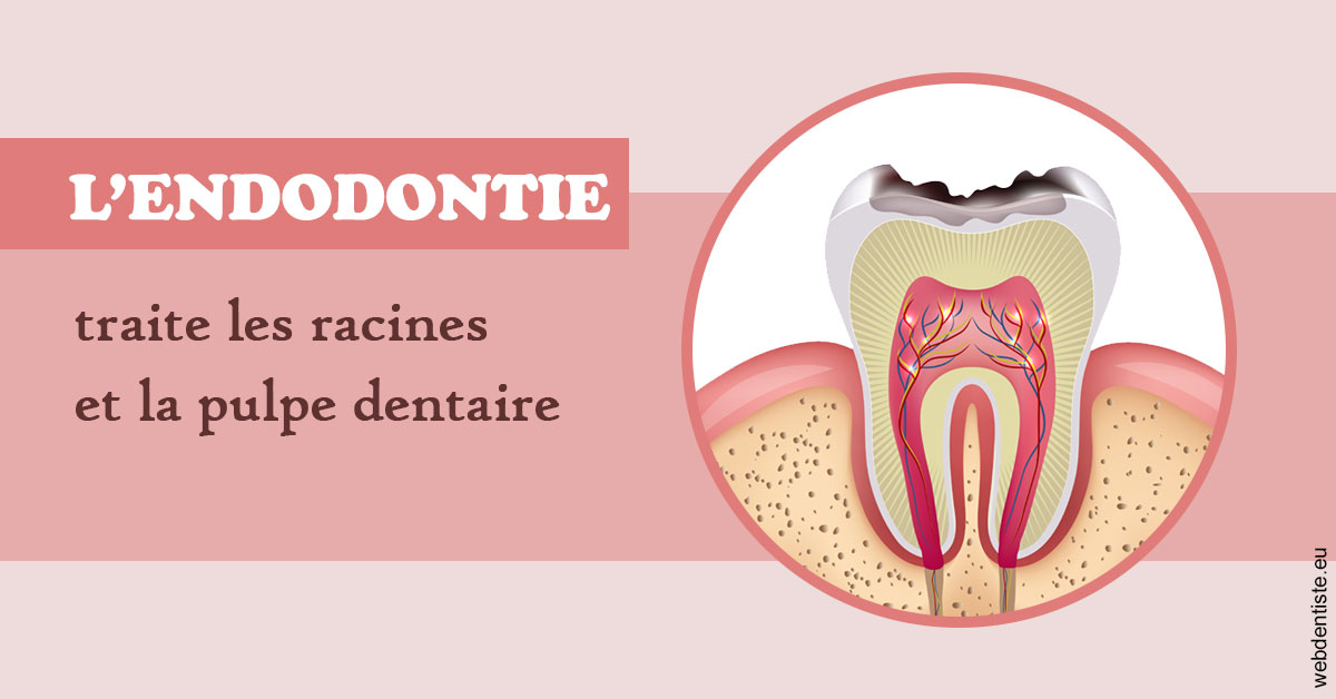 https://dr-lecarboulec-yann.chirurgiens-dentistes.fr/L'endodontie 2