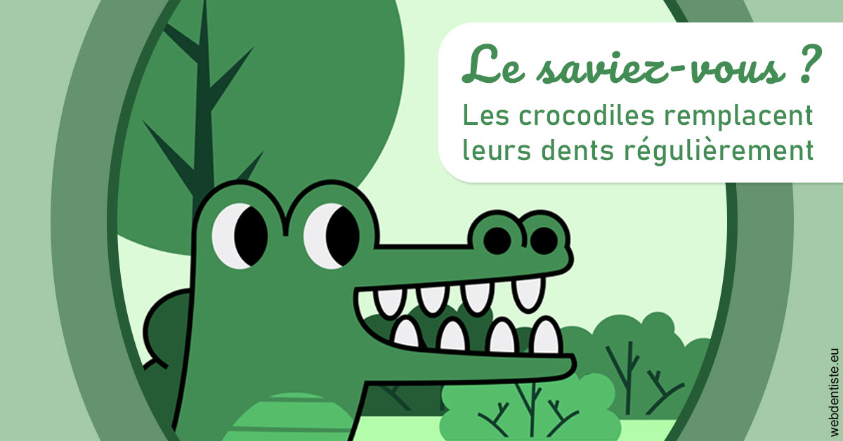 https://dr-lecarboulec-yann.chirurgiens-dentistes.fr/Crocodiles 2