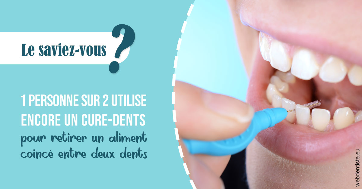 https://dr-lecarboulec-yann.chirurgiens-dentistes.fr/Cure-dents 1