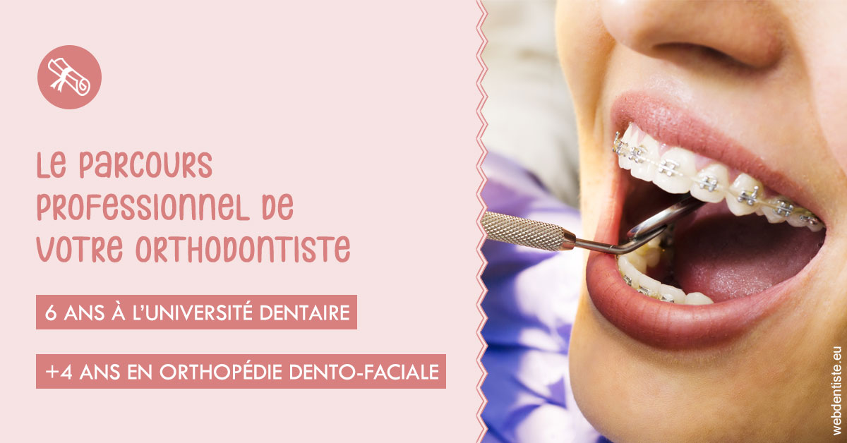 https://dr-lecarboulec-yann.chirurgiens-dentistes.fr/Parcours professionnel ortho 1
