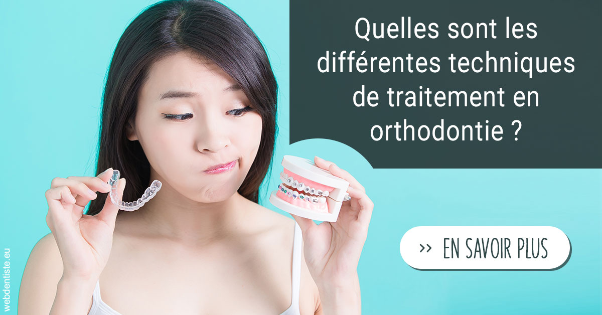 https://dr-lecarboulec-yann.chirurgiens-dentistes.fr/Les différentes techniques de traitement 1