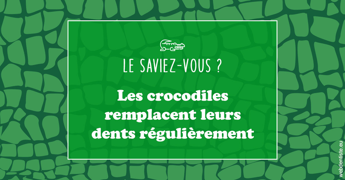 https://dr-lecarboulec-yann.chirurgiens-dentistes.fr/Crocodiles 1