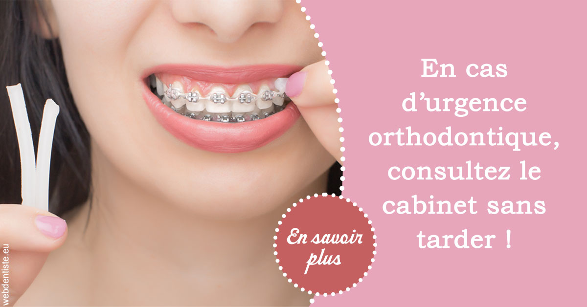 https://dr-lecarboulec-yann.chirurgiens-dentistes.fr/Urgence orthodontique 1